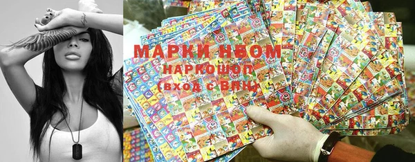 прущие грибы Алексин