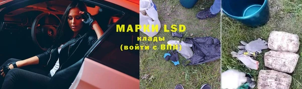 прущие грибы Алексин