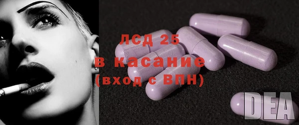 прущие грибы Алексин
