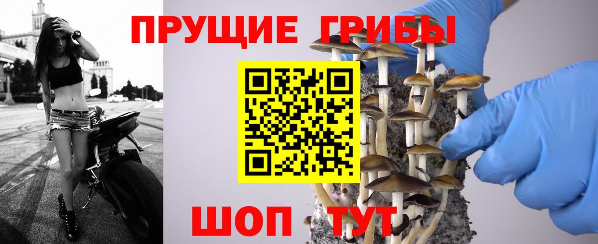 Галлюциногенные грибы мицелий  Вход с VPN  Осинники 
